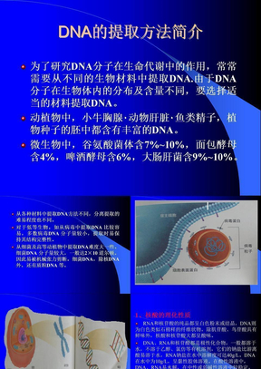 DNA提取方法