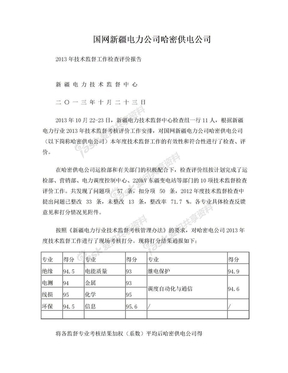 哈密监督考核评价报告 (4)