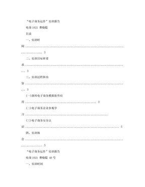 电子商务实训总结报告