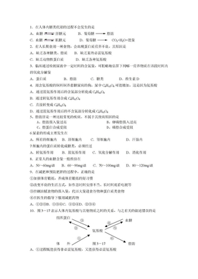 三大营养物质代谢，呼吸作用，代谢类型习题