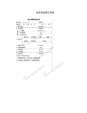 盐雾试验报告表格