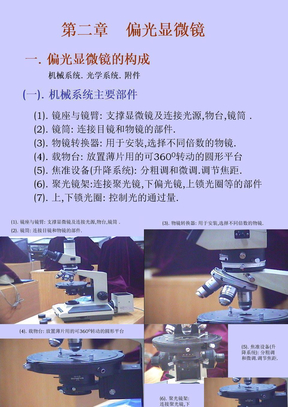 (2)偏光显微镜