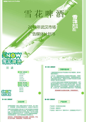 雪花啤酒2012武汉市场广告媒体投放计划书