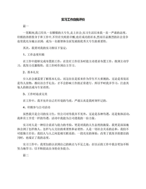 实习工作自我评价