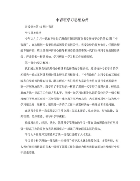 中青班学习思想总结