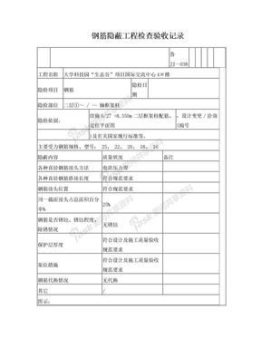 地下层挡土墙、柱钢筋隐蔽工程检查验收记录