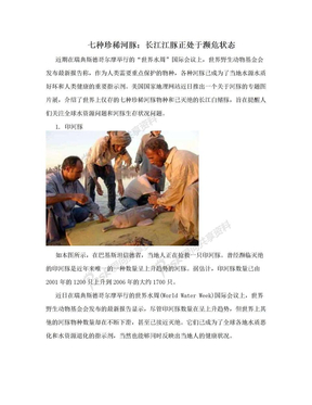 七种珍稀河豚：长江江豚正处于濒危状态