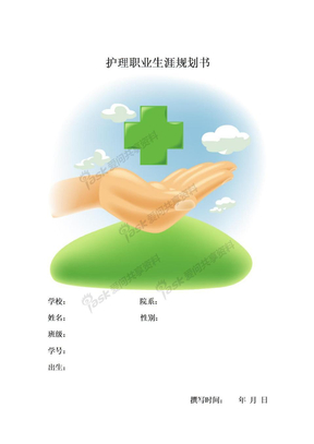 护理职业目标规划