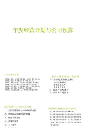 年度经营计划与公司预算