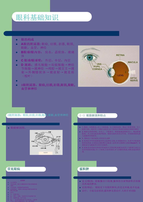 眼科基础知识