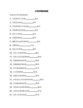 小学各项规章制度