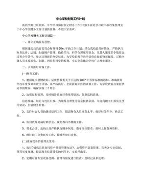 中心学校财务工作计划