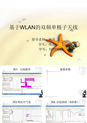 [5]一种基于WLAN的双频单极子天线设计