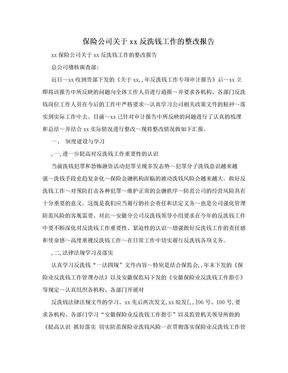 保险公司关于xx反洗钱工作的整改报告