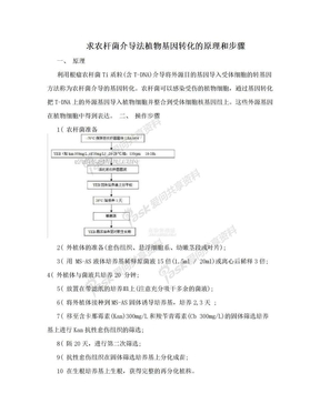 求农杆菌介导法植物基因转化的原理和步骤