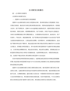 公司财务分析报告