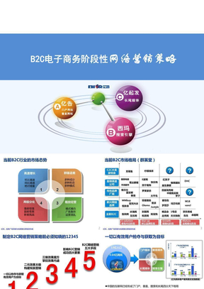 B2C电子商务网络营销方案