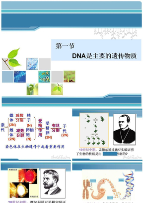 ＤＮＡ是主要的遗传物质