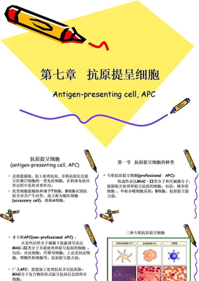 中国医科大学免疫学 课件  APC