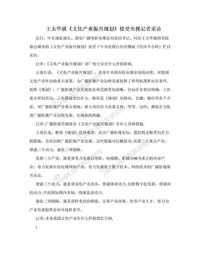 王太华就《文化产业振兴规划》接受央视记者采访