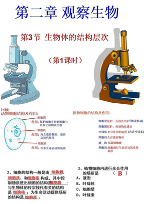 生物体的结构层次1