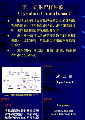 淋巴造血系统疾病2