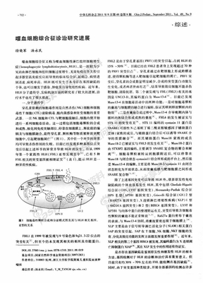 噬血细胞综合征诊治研究进展