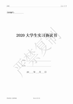 2020大学生实习协议书-(优质文档)