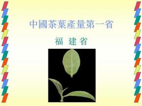 中國茶葉產量第一省