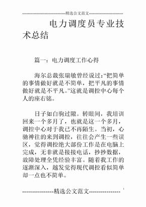 电力调度员专业技术总结