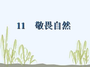 语文人教版八年级下册11、敬畏自然