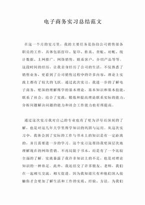 电子商务实习总结范文