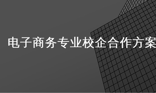 电子商务专业校企合作方案
