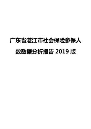 广东省湛江市社会保险参保人数数据分析报告2019版