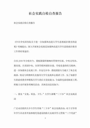 社会实践自检自查报告