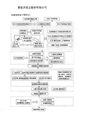 重组改制流程图