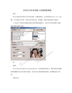 在打开文件对话框上实现图象预览