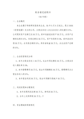 财务情况说明书 模板