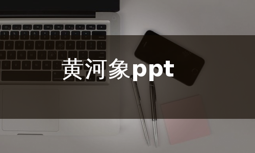 黄河象ppt