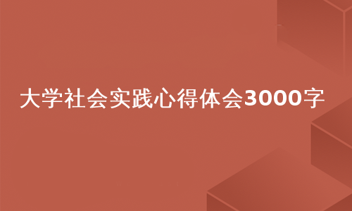 大学社会实践心得体会3000字