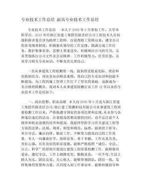 专业技术工作总结 副高专业技术工作总结