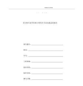 专业硕士实践总结报告
