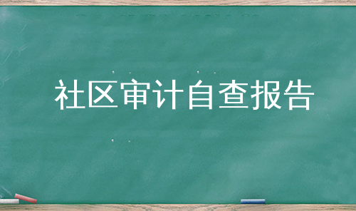 社区审计自查报告