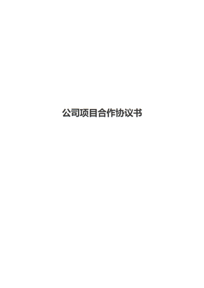 公司项目合作协议书
