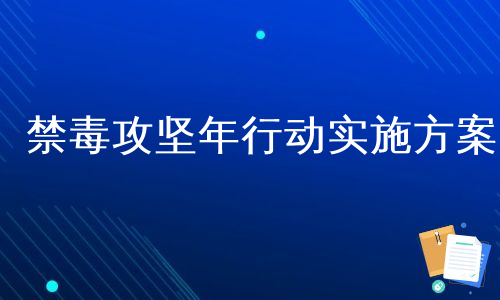 禁毒攻坚年行动实施方案