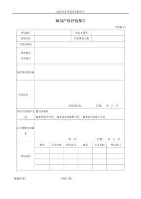知识产权评估报告