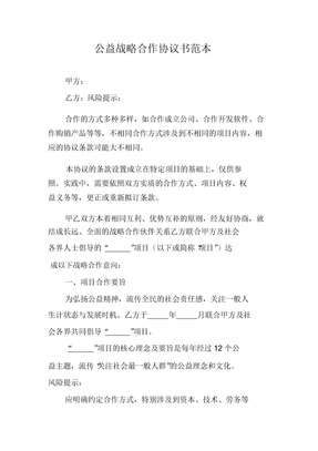 公益战略合作协议书