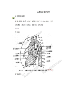 心脏解剖线图