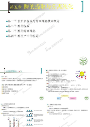 酶（蛋白质）工程Ch5(5)