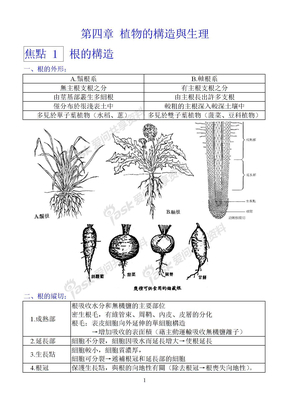 台湾高中生物课件4a植物的营养器官及功能下载 Word模板 爱问共享资料